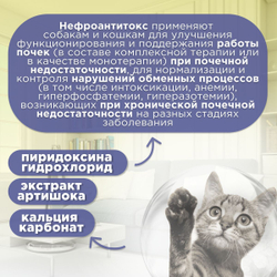 Нефроантитокс порошок банка, 100 гр