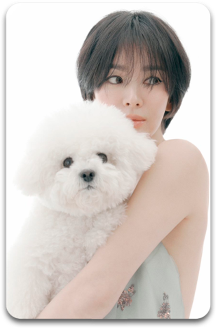 Карта #2056 / Song Hye Kyo