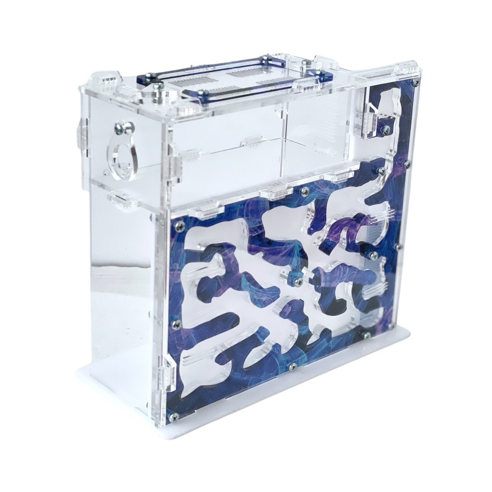 Муравьиная ферма "Созвездие L"