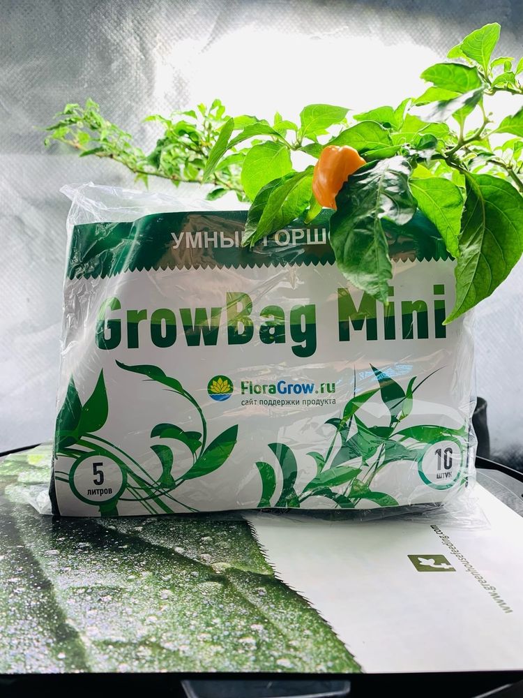 Grow Bag Mini 5л