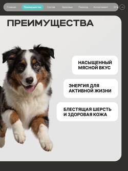 Корм сухой для средних и крупных собак, для активных и энергичных, с кроликом, 12 кг, QUATTRO