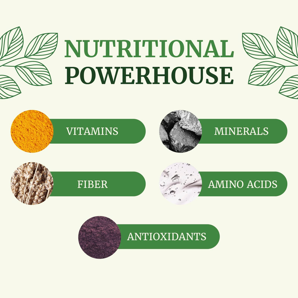 Nobi Nutrition, чистая моринга, 5000 мг, 60 капсул