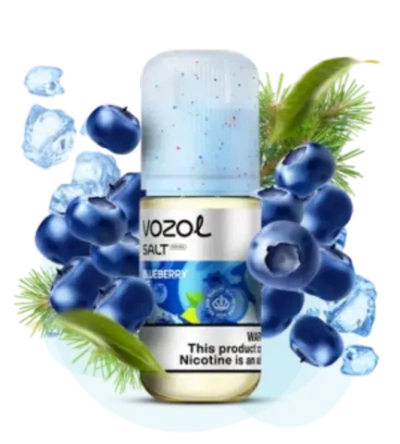 VOZOL - Blueberry Ice (5% nic, 30ml)