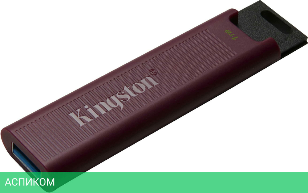 USB Flash-накопитель Kingston Data Traveler Max 1TB бордовый (DTMAXA/1TB)