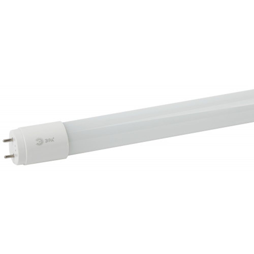 Лампа светодиодная ЭРА RED LINE LED T8-10W-840-G13-600mm R G13 10Вт трубка стекло нейтральный белый свет, пенорукав | Лампы cветодиодные Линейные  (T8)