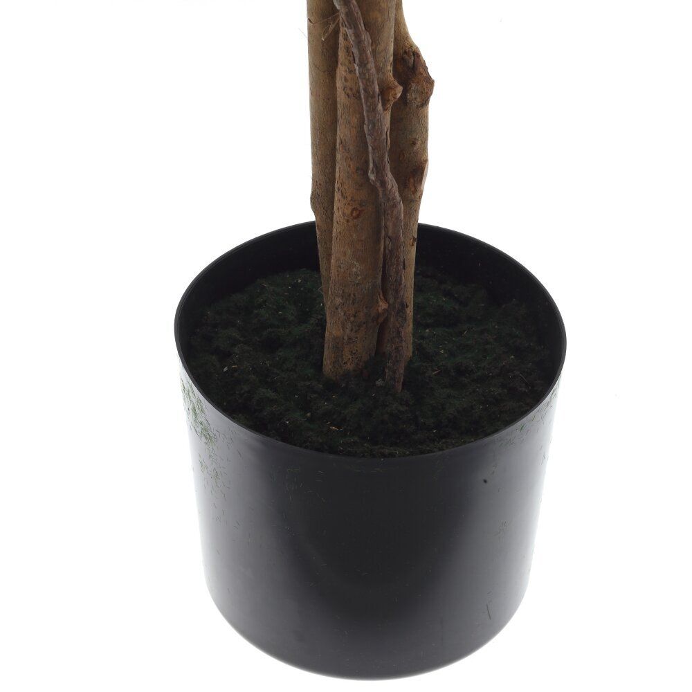 GAEM Дерево искусственное "Фикус", L60 W60 H130 см