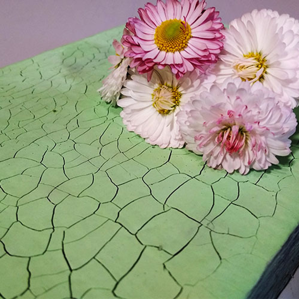 Краска с эффектом трещин «Салатовая» матовая