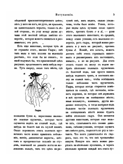 Естественная история животных, разсказанная для детей | А. Дараган