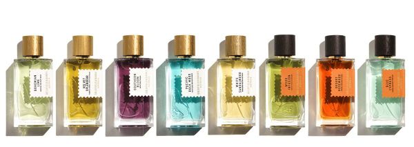 Goldfield and Banks Australia Wood Infusion