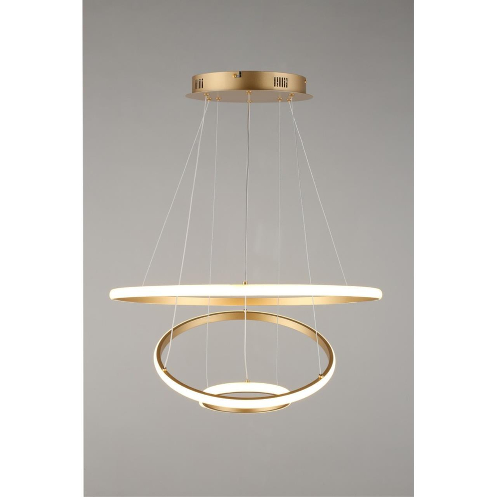 Подвесная светодиодная люстра Aployt Janina APL.018.13.60