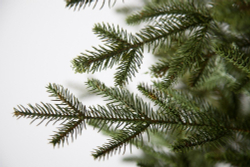 Ель 215см Black Box Французская зеленая