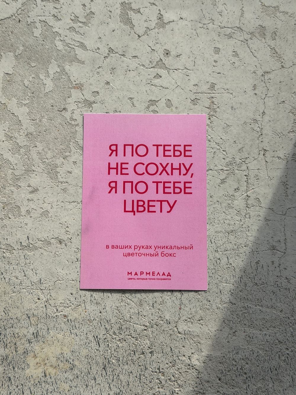 ЦВЕТОЧНЫЙ БОКС