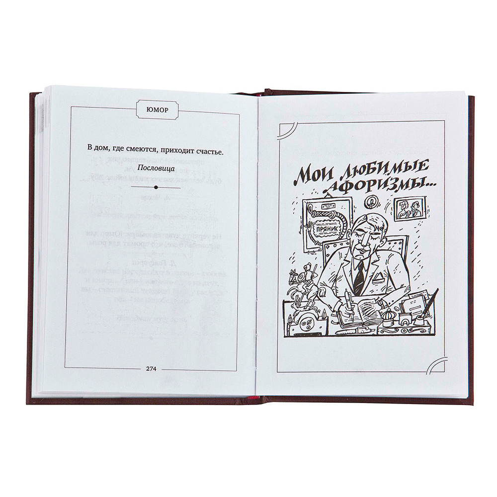 ПН-19 Подарочный набор "Кнут и пряник" (с книжкой)