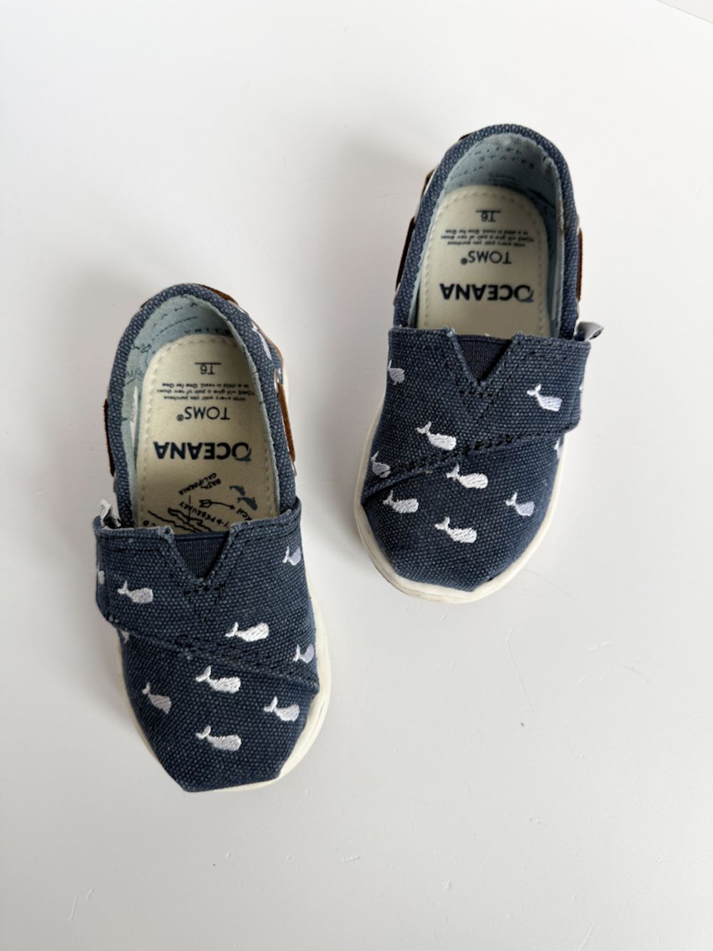 Текстильные кеды Toms, 22