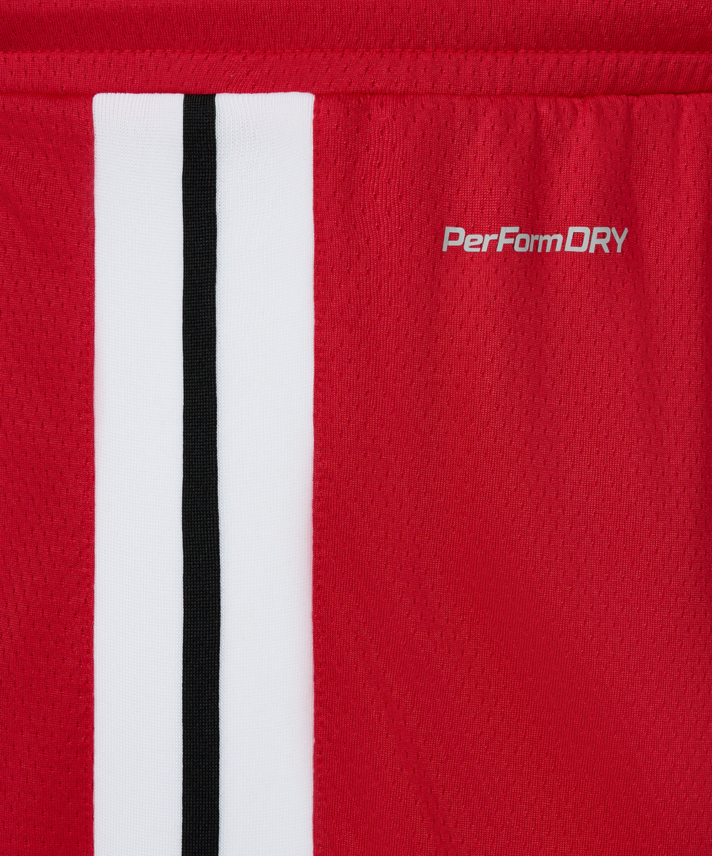 Шорты баскетбольные JÖGEL DIVISION PerFormDRY Shorts R2, красный