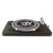 VPI Printed Slipmat