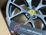 КОВАНЫЕ ДИСКИ для Ferrari 599 GTB FIORANO
