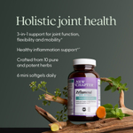 New Chapter, Zyflamend™, 180 миникапсул