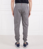 Спортивные штаны Tommy Hilfiger - серый(UM0UM02783)