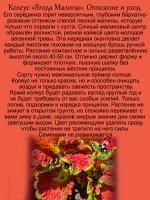 Колеус Ягода Малина вегетативный