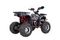 Квадроцикл YACOTA Sirius 125 LD