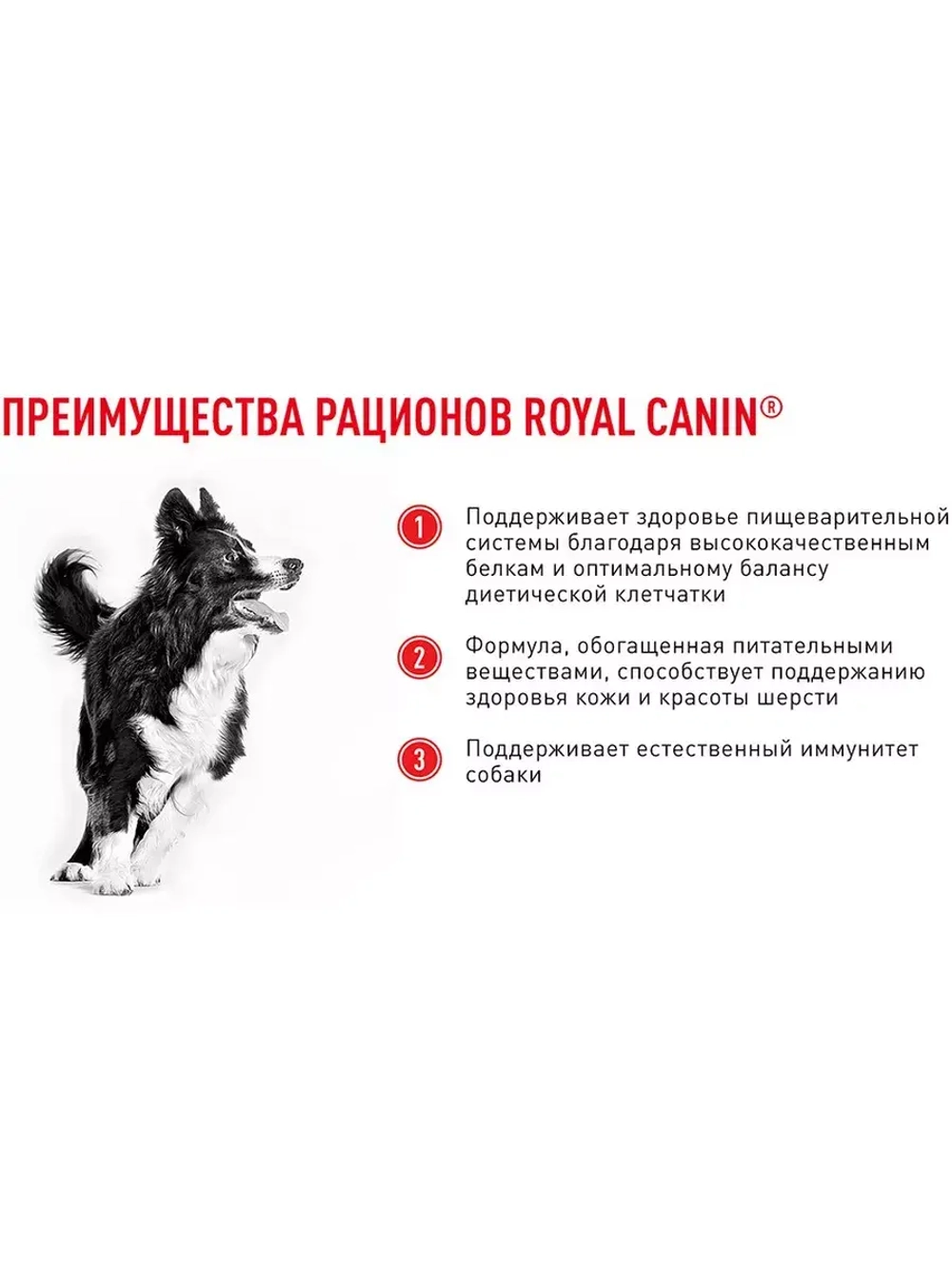 ROYAL CANIN MEDIUM ADULT PRO (РОЯЛ КАНИН МЕДИУМ ЭДАЛТ) корм сухой для собак Medium Adult 20 кг.
