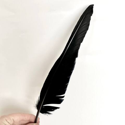 Перо для письма черное