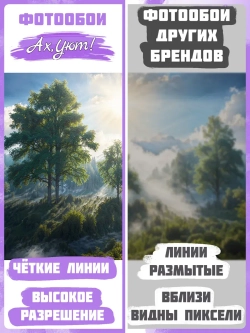 3D Фотообои утренний лес в тумане
