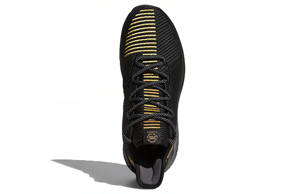 Кроссовки Adidas D Rose 9