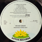 Peter Green ‎– Whatcha Gonna Do? (Скандинавия 1981г.)