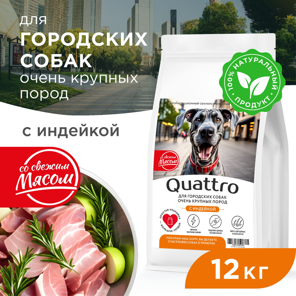 Корм сухой для взрослых собак очень крупных пород, премиум полнорационный комплекс, для городских собак, с индейкой, 12 кг, QUATTRO