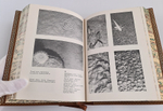 "За тайнами нептуна". А.А. Аксенов - подарочное издание
