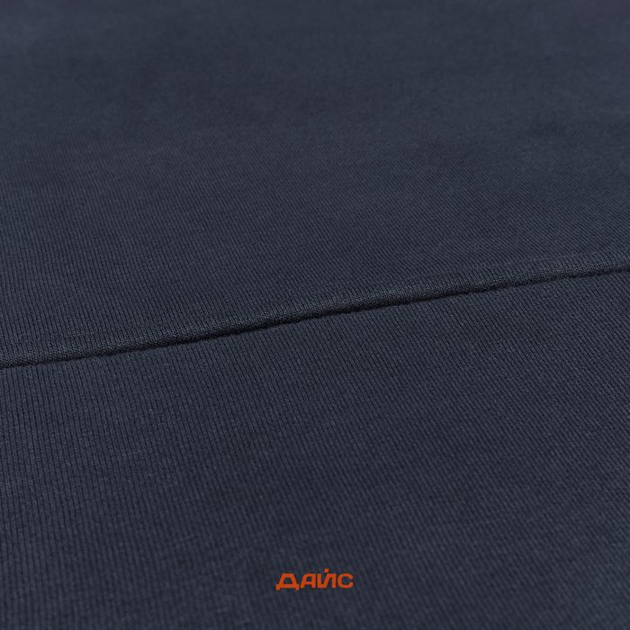 Толстовка мужская Dickies Skateboarding Logo Hoodie артикул:TWSK0_blue - купить в магазине Дайс