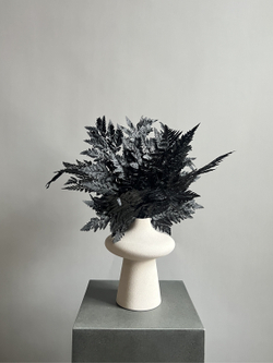 Папоротник черный