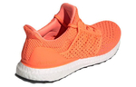 Кроссовки Adidas Ultraboost Clima Dna