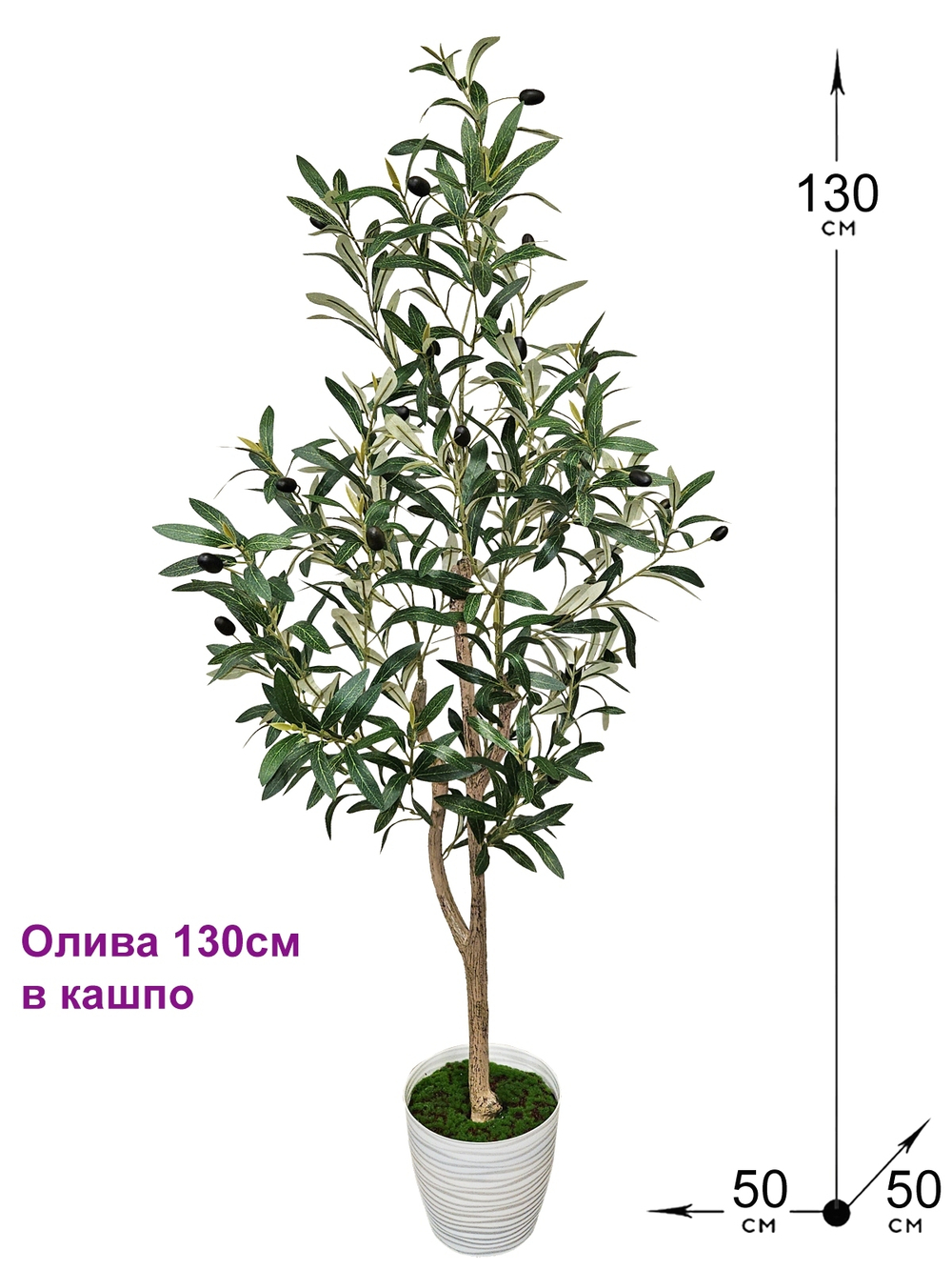 Оливковое дерево 130см в кашпо