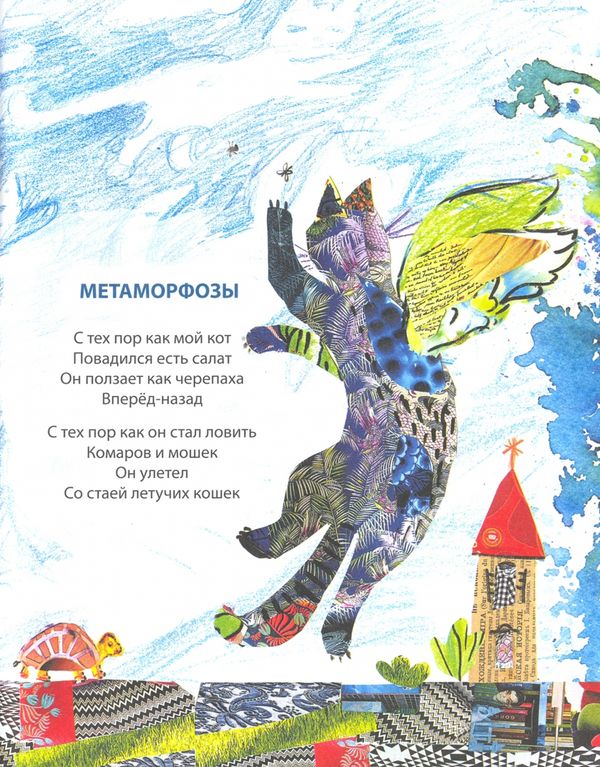 Песни кошачьих лап