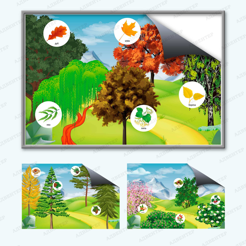 Комплект развивающий Природа: Лиственные деревья. Хвойные деревья. Кустарники 2198