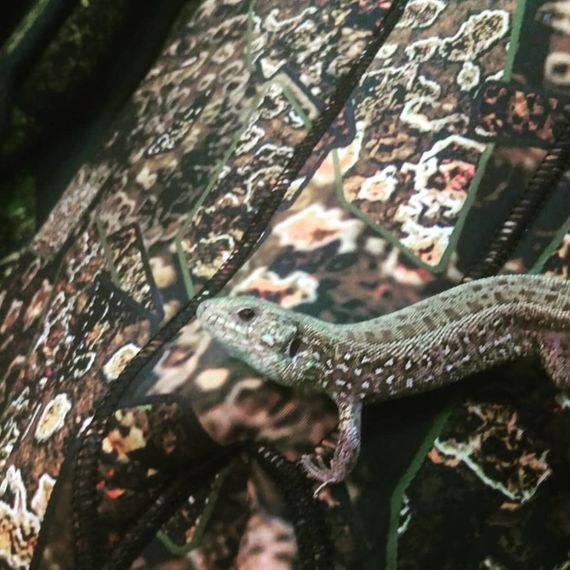 Гидрокостюм Salvimar Garda KRYPSIS 9 мм