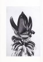 Американские рисунки ХХ века: Арканзасский центр искусств