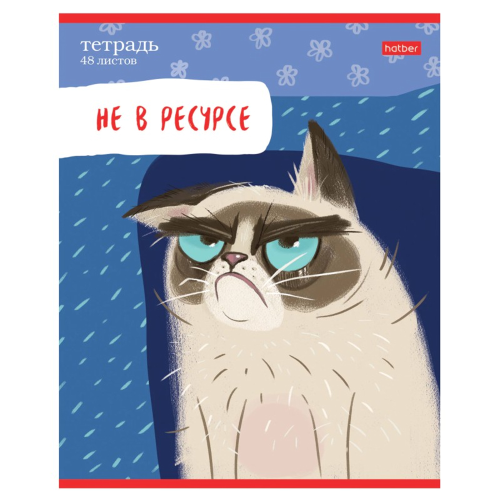 Тетрадь общая Hatber "Кот-обормот", А5, 48 листов в линейку, картон, на скрепке, ассорти