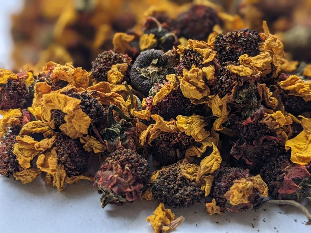 Снежная Хризантема или Тибетская Ромашка (Кунь Лунь)