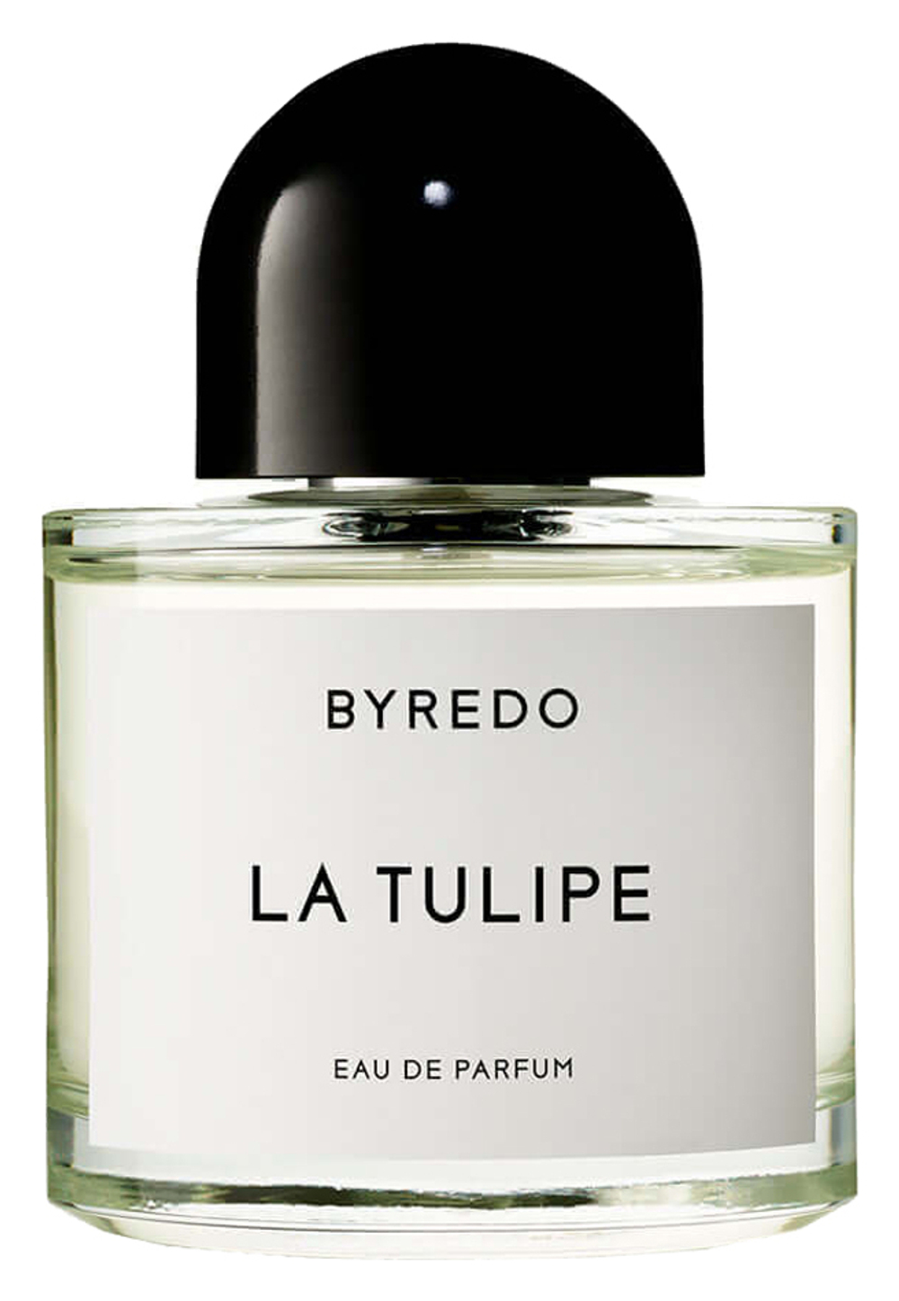 BYREDO LA TULIPE