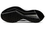 Кроссовки Nike Zoom Winflo 6 Shield