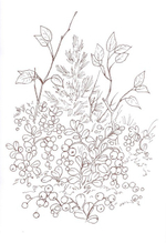 Альбом для раскрашивания полноцветный. Раскраски