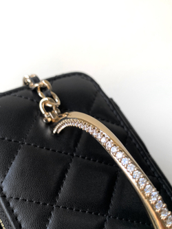 Chanel Bag (2 variants)