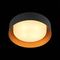 Потолочный светильник ST Luce Chio SL392.422.04