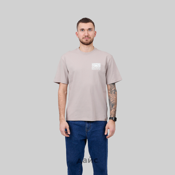 Футболка мужская Dickies Saltville Tee артикул:DK0A4YR9SS01 - купить в магазине Дайс