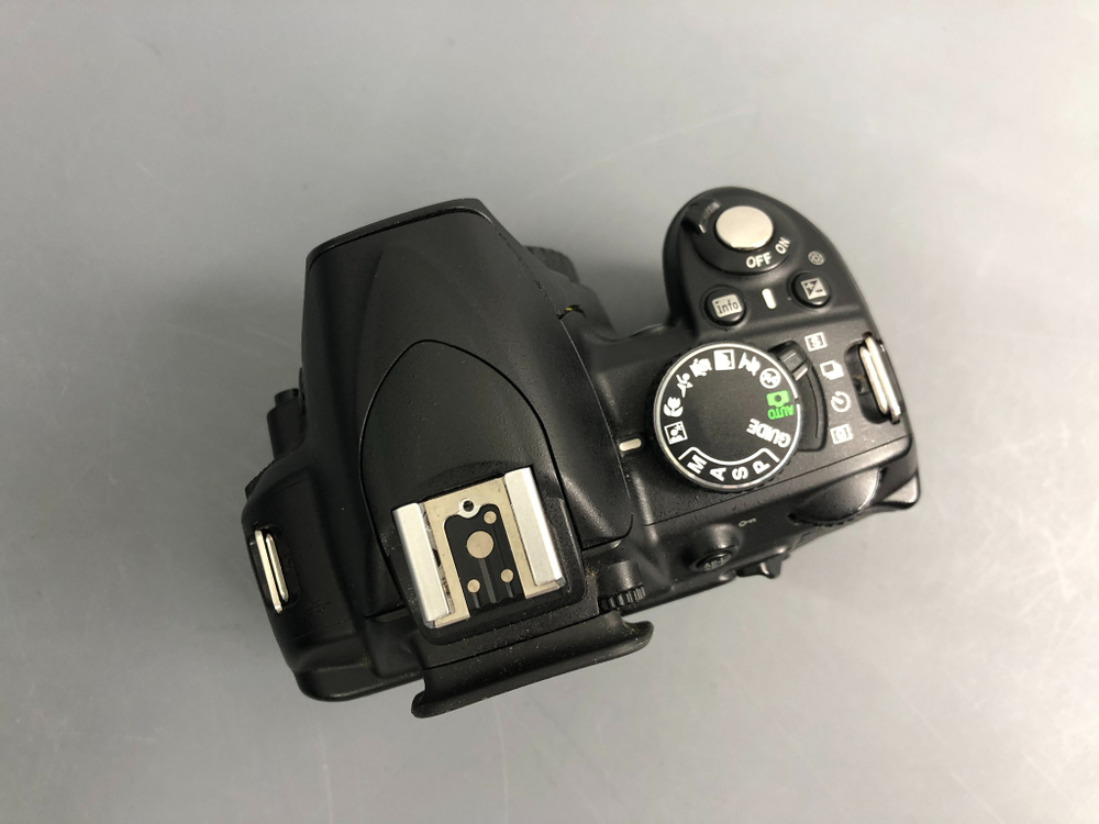 Nikon D3100