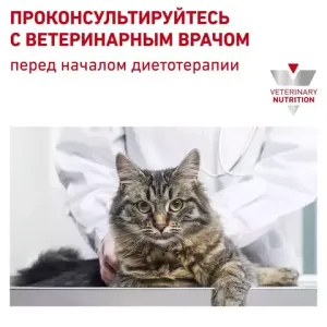 Пауч для кошек, Royal Canin Renal Feline With Beef, при хронической почечной недостаточности, с говядиной